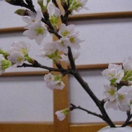 Wakaba Ryokan / Vacation Stay 29370 Szakata Kültér fotó
