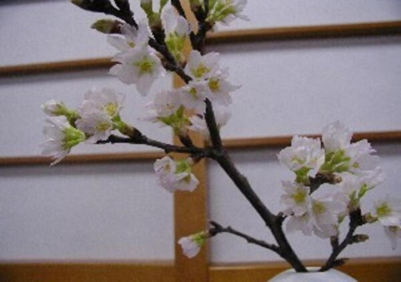 Wakaba Ryokan / Vacation Stay 29370 Szakata Kültér fotó